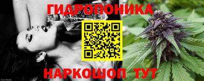 таблы Ставрополь