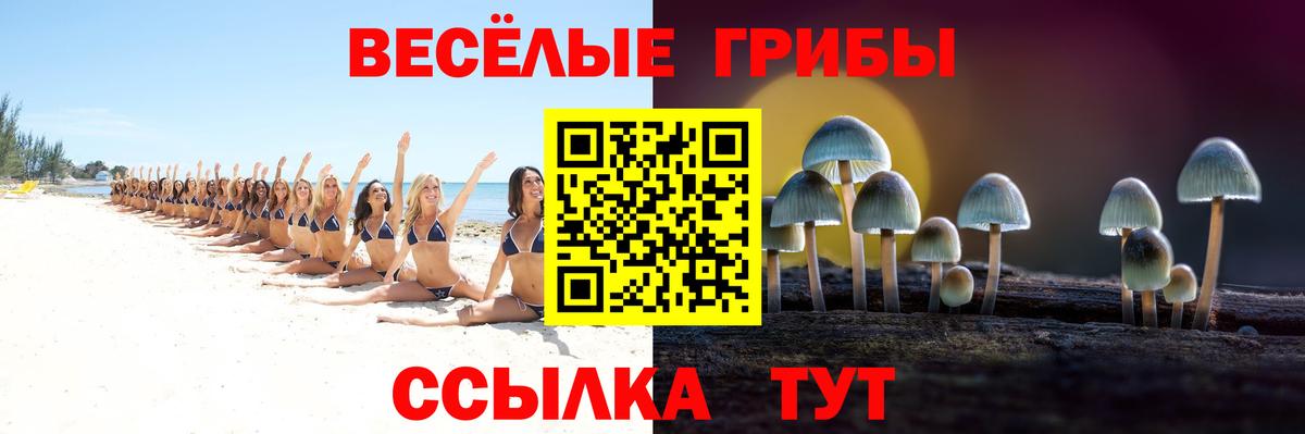 Галлюциногенные грибы прущие грибы  Вход с VPN  Отрадное 